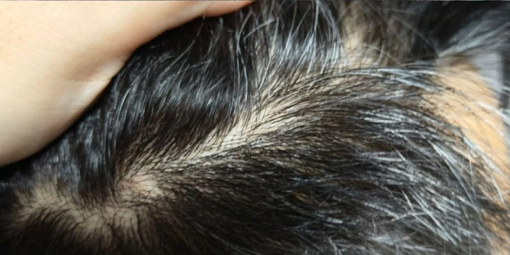 Customer-submitted parted scalp and hair appearance after continued use